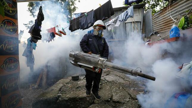 ¿por Qué El Serotipo 3 Del Dengue Ha Causado Estragos En La Población Infantil?