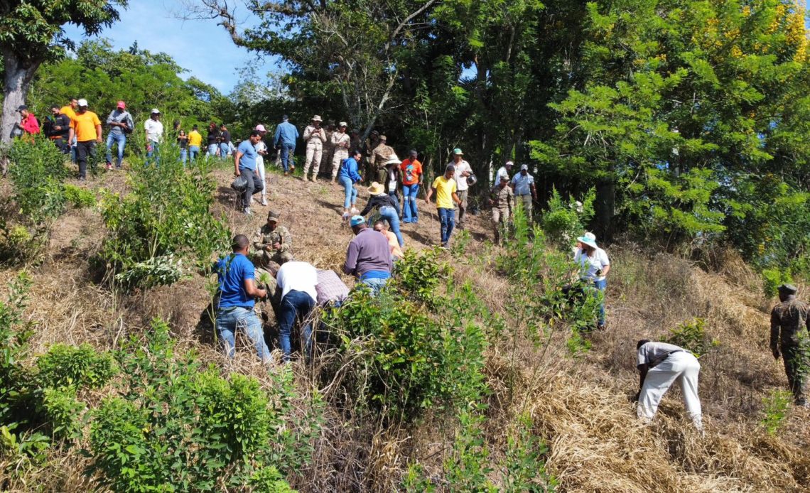 Desarrollo Fronterizo Siembra Arboles En La Zona Fronteriza