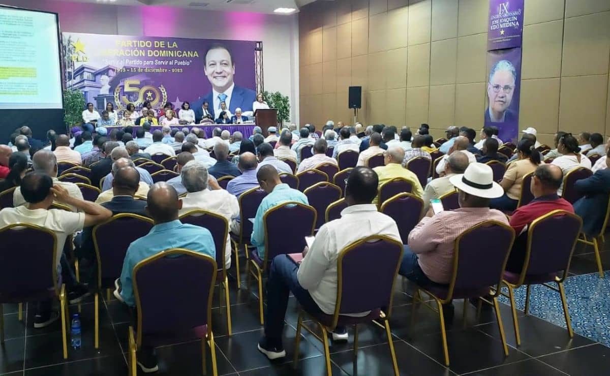 Pld Avanza En Organización Del Proceso Electoral Interno