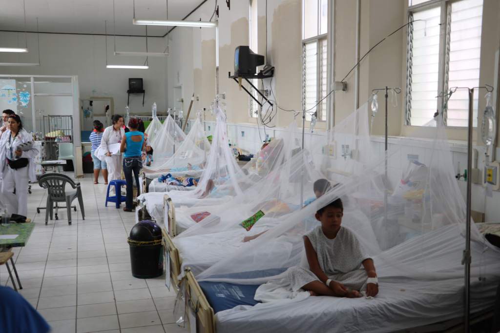 El Dengue Satura Los Hospitales Infantiles