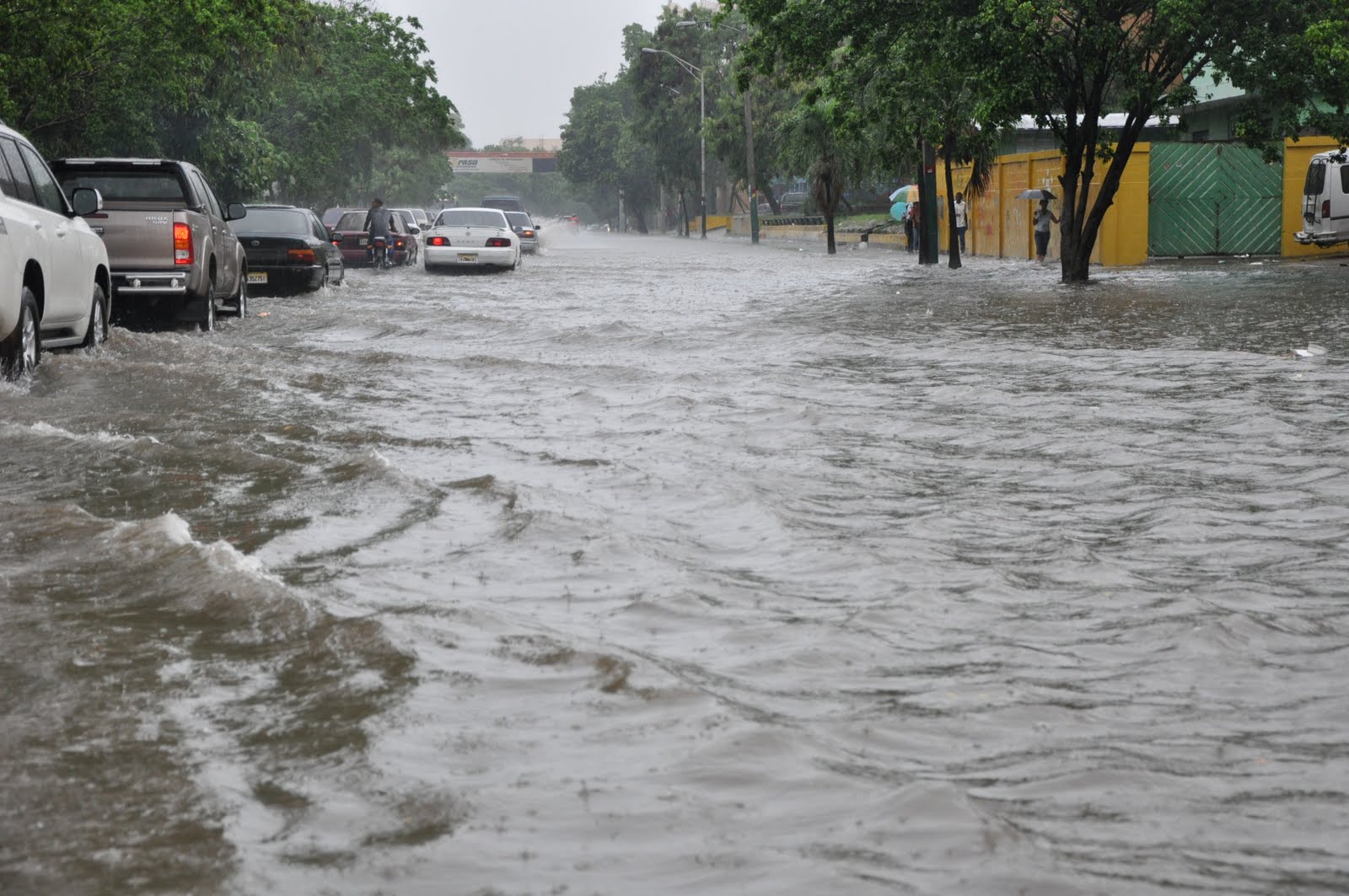“el Agua Que Se Va A Acumular Es Como Subir Casi 12 Escalones De Una Escalera”, Según Especialista