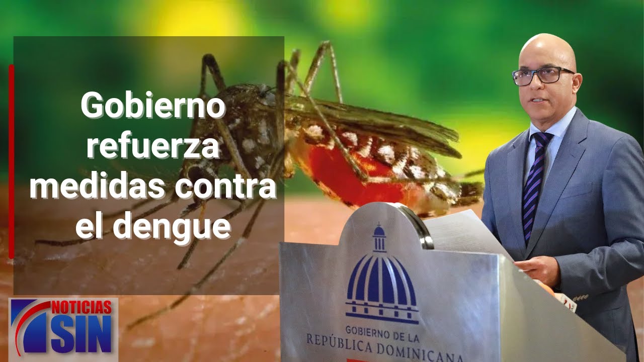 Gobierno Anuncia Medidas Para Combatir El Brote De Dengue
