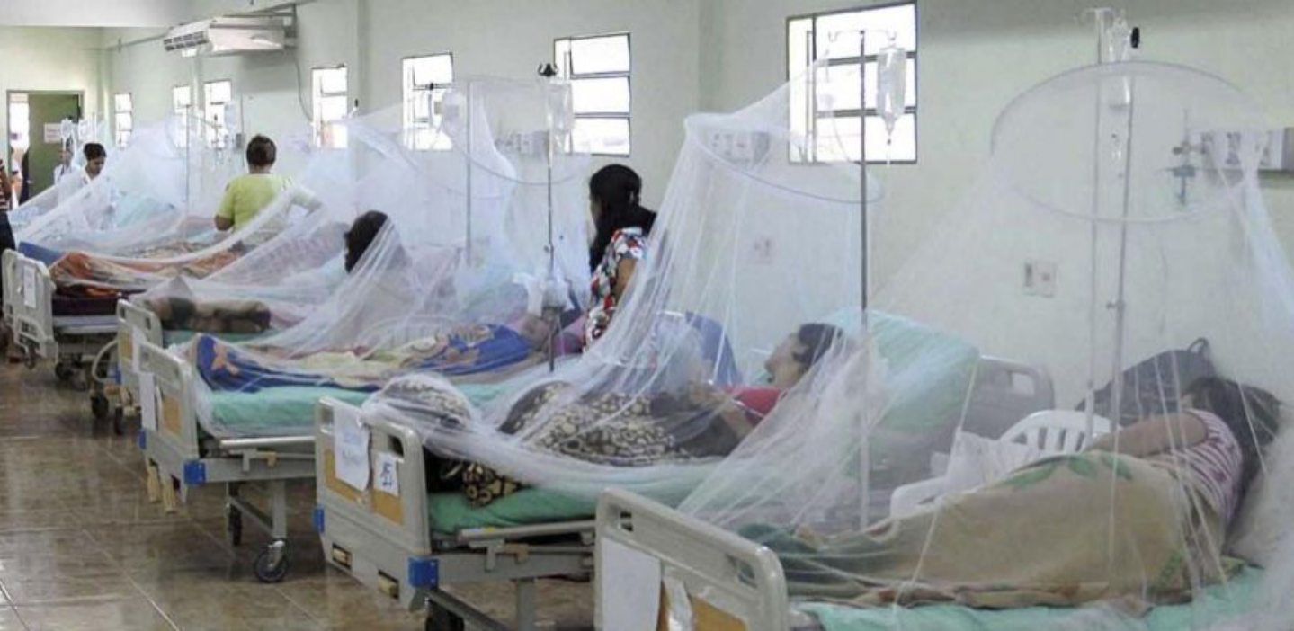 Al Menos 39 Niños Ingresados Por Dengue En El Robert Reid