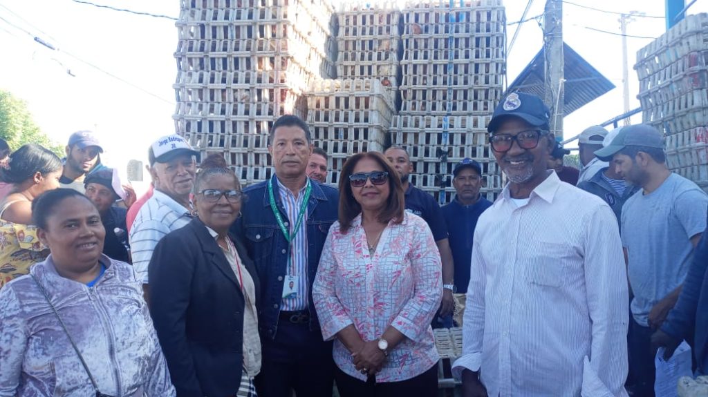 Gobierno Entrega 5,000 Pollitas Ponedoras En Dajabón