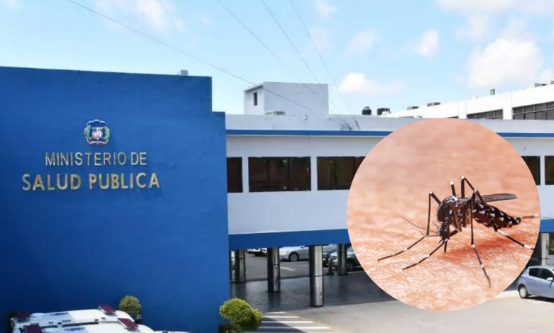 El Dengue Obliga Al Gobierno A Sumar Camas Para Tratar Pacientes