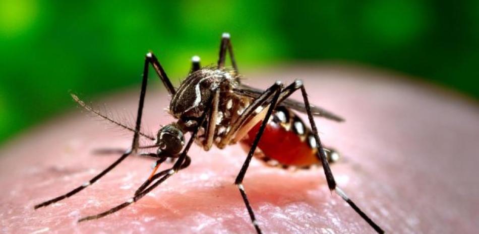 El Dengue Sigue Cobrando Vidas, Muere Otra Niña
