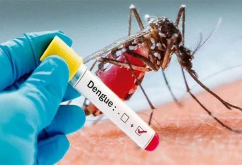 Rd Registra 13 Muertes Por Dengue; Dos Nuevos Fallecimientos