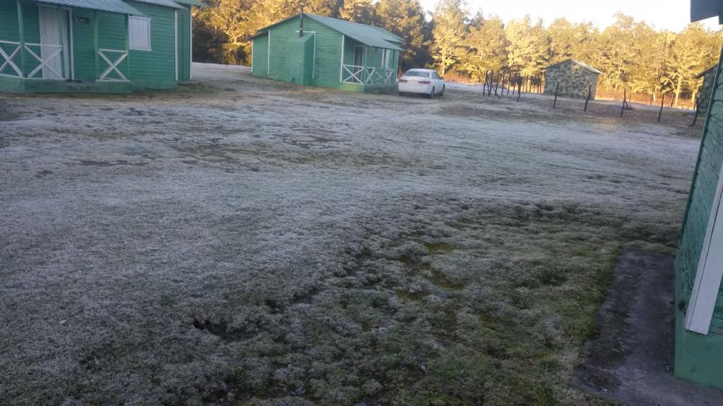¡frío Intenso! Temperatura Descendió Bajo Cero Hoy En Valle Nuevo, Constanza