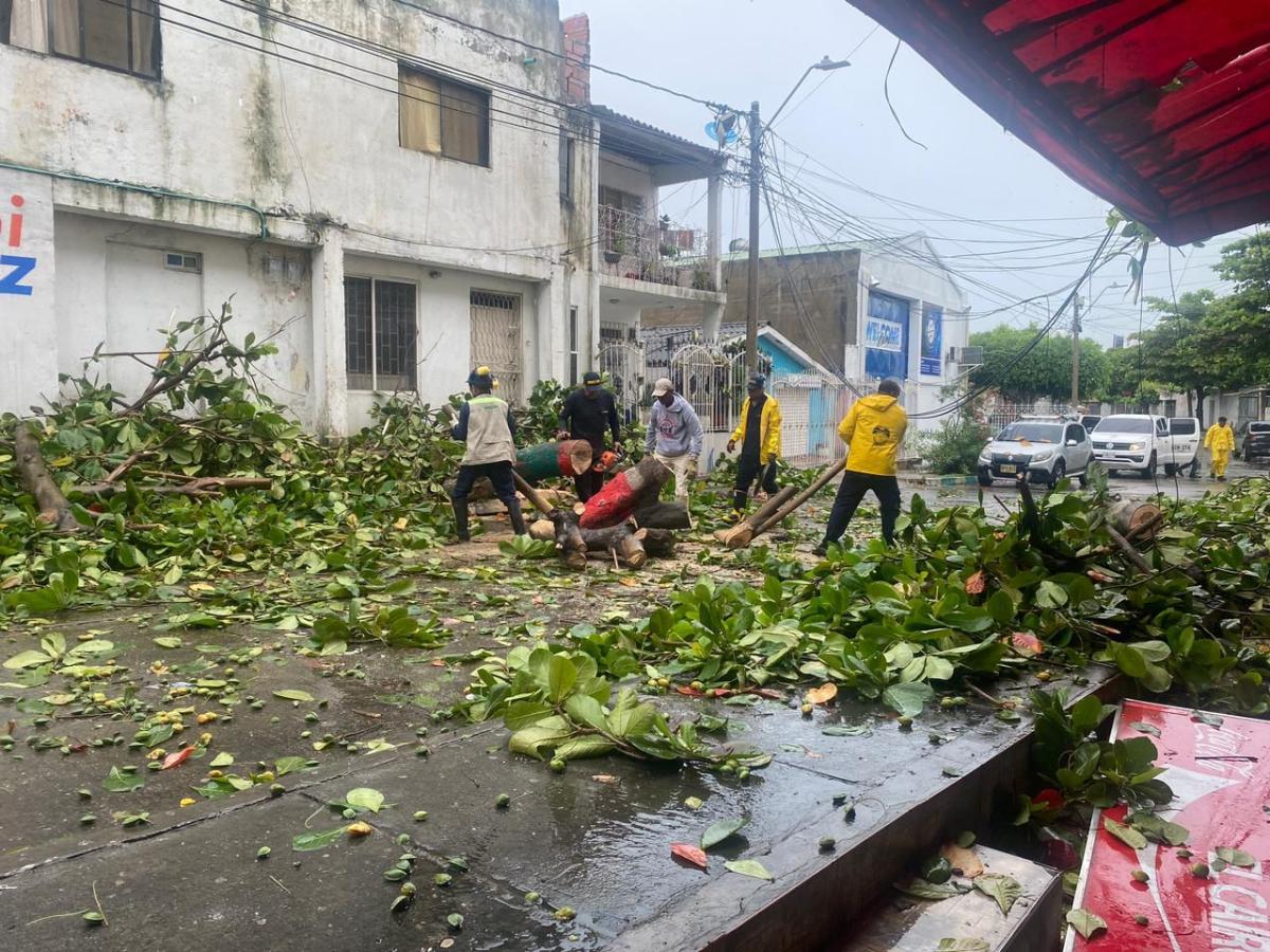 La Capital Mostró Sus Carencias Con Las Lluvias De La Tormenta Franklin