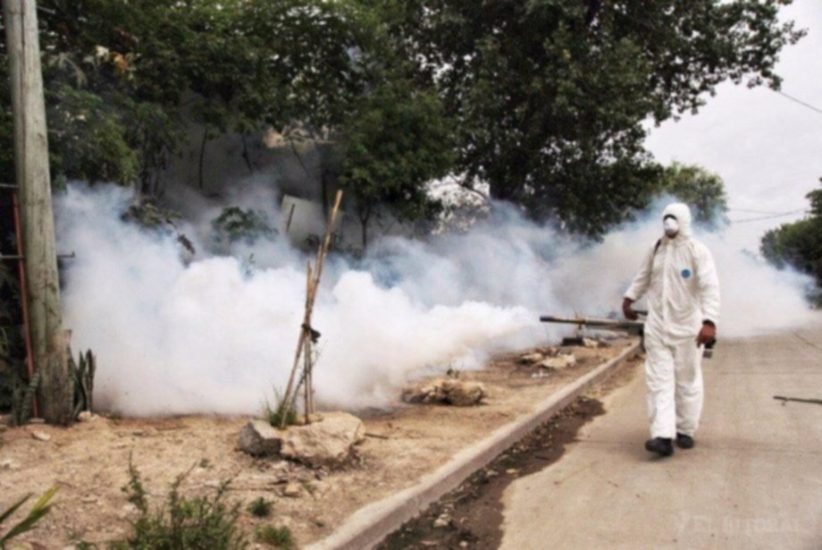 El País Se Encamina Hacia Su Mayor Pico Del Brote De Dengue
