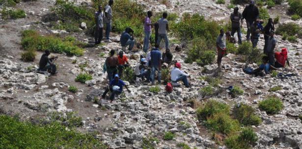 Detienen A 48 Migrantes Haitianos Abandonados Por Contrabandistas En Isla Puertorriqueña
