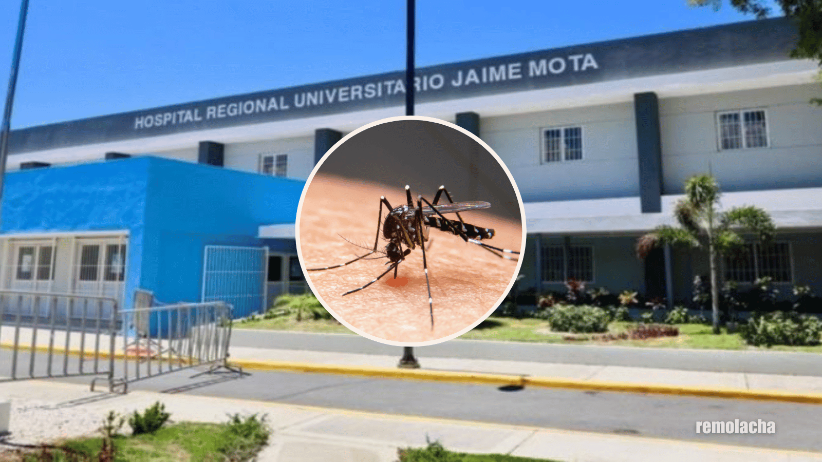 Dengue Llenó De Pacientes Mayor Hospital De Barahona